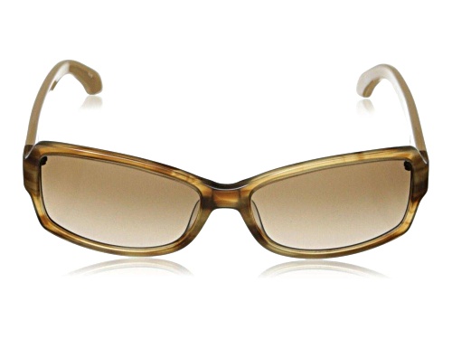 calvin klein havana glasses