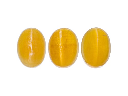Fire Opal Cat's Eye 7x5mm Oval Set of 3 2.50ctw