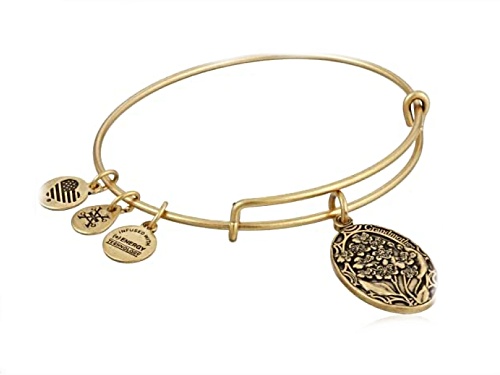 Alex and Ani Because I Love You Grandmother II EWB Rafaelian Gold Bracelet - Size 7
