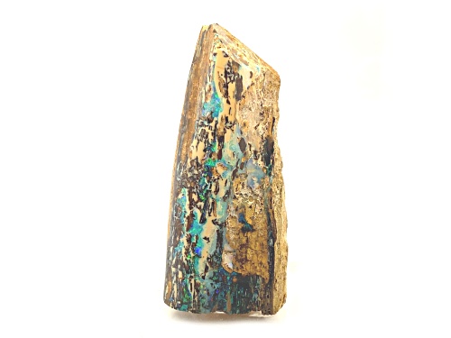 Austrailian Opalized Wood 7x3cm Specimen