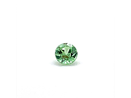 Mint Grossular Garnet 5mm Round 0.49ct