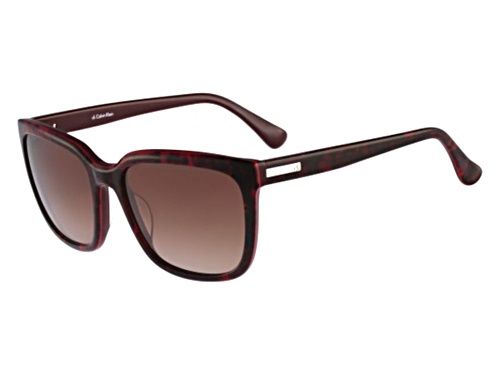 calvin klein havana glasses
