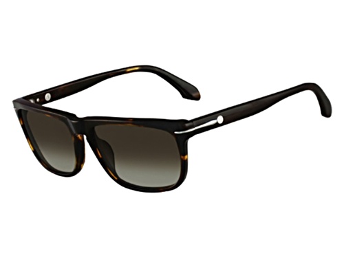 Calvin Klein Men's Dark Havana/Green Sunglasses