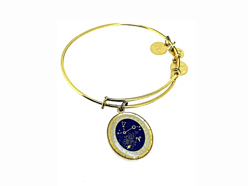 Alex and Ani Celestial Wheel Aries EWB Stainless Steel Bracelet - Size 7