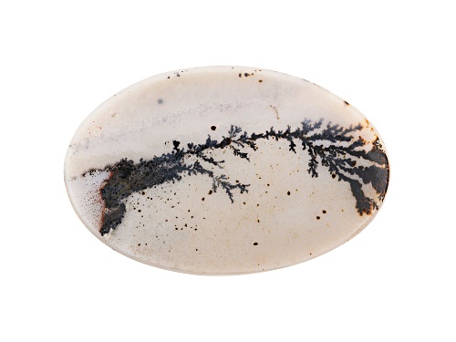 Brazilian dendritic agate 69.32ct 60x39mm oval tablet