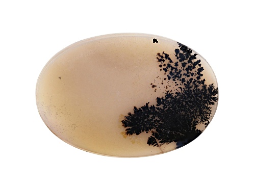Brazilian dendritic agate 41.74ct 51x35mm oval tablet