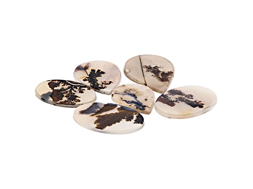 Set of 6 Brazilian dendritic agate 112.06ctw mixed shapes and sizes tablet