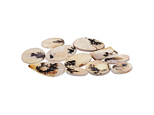 Set of 11 Brazilian dendritic agate 109.39ctw mixed shapes and sizes tablet