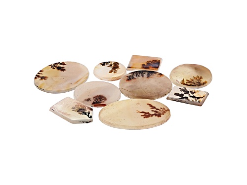 Set of 9 Brazilian dendritic agate 77.56ctw mixed shapes and sizes thin tablet