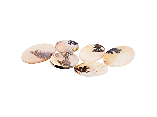 Set of 6 Brazilian dendritic agate 67.73ctw mixed shapes and sizes tablet
