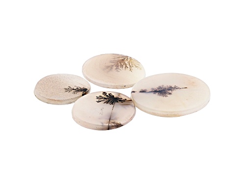 Set of 4 Brazilian dendritic agate 65.83ctw mm varies round tablet