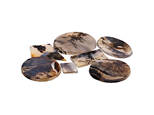 Set of 7 Brazilian dendritic agate 103.61ctw mixed shapes and sizes tablet