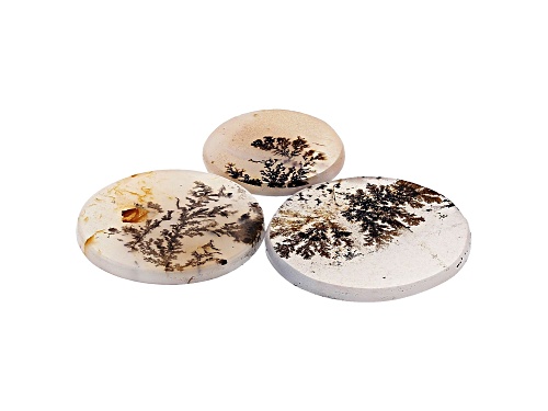 Set of 3 Brazilian dendritic agate 50.00ctw mm varies round tablet
