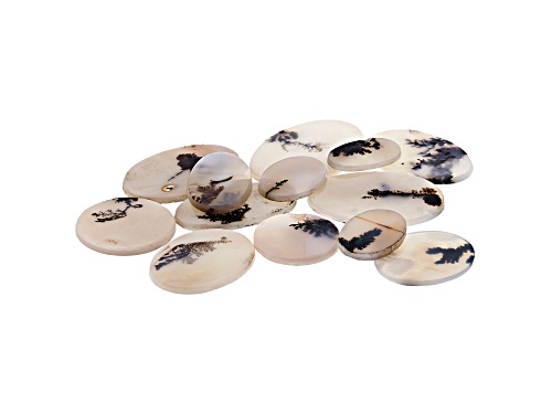 Set of 13 Brazilian dendritic agate 151.99ctw mm varies round and oval tablet