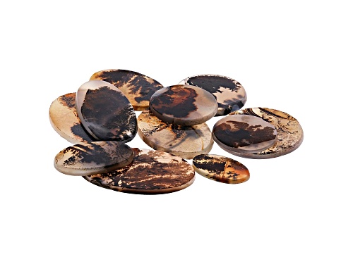 Set of 11 Brazilian dendritic agate 166.86ctw mm varies round and oval tablet