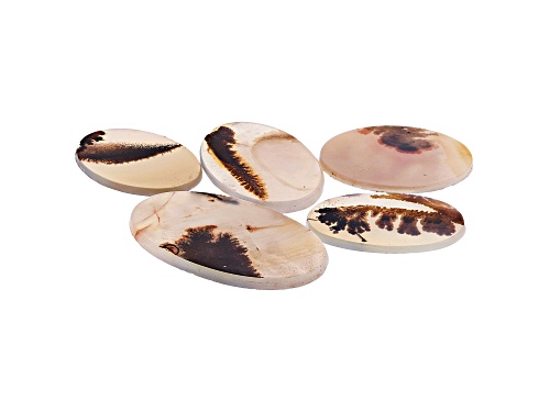 Set of 5 Brazilian dendritic agate 119.21ctw mm varies oval tablet