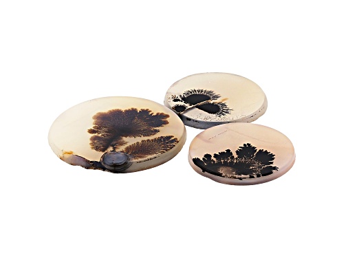 Set of 3 Brazilian dendritic agate 54.77ctw mm varies round tablet