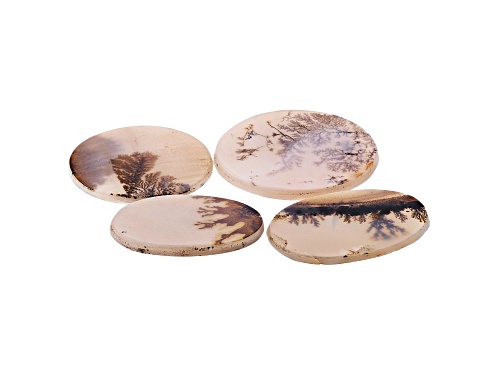 Set of 4 Brazilian dendritic agate 67.11ctw mm varies oval and round thin cabochon