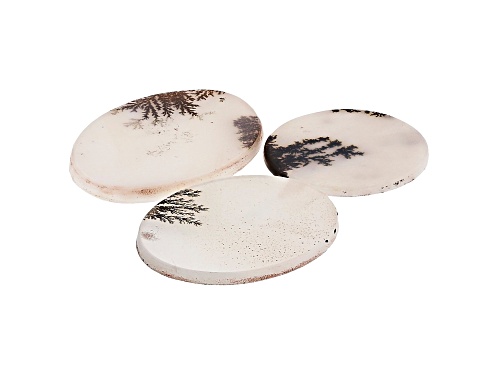 Set of 3 Brazilian dendritic agate 36.16ctw mm varies round and oval thin cabochon
