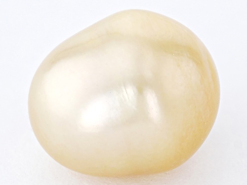 Photo of South Sea Pearl Loose Gemstones Single  11.75CTW Minimum