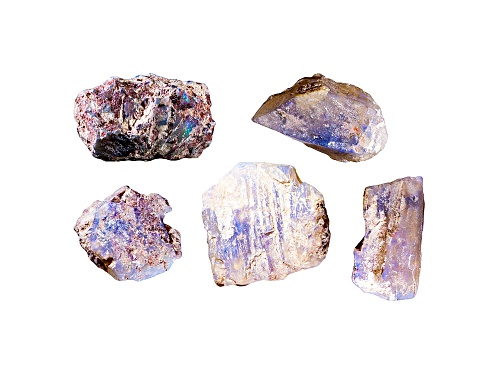 Photo of Gemstone Set Medium Australian Lightning Ridge Opalised Plant Fossils Mm Varies  Shapes & Sizes Vary