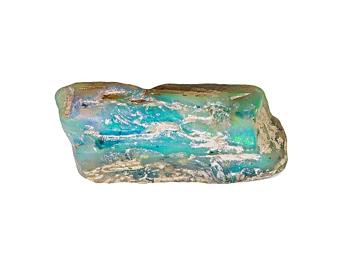 Australian Lightning Ridge Opalised Plant Fossil Mm Varies  Gemstone Shapes And Sizes Will Vary