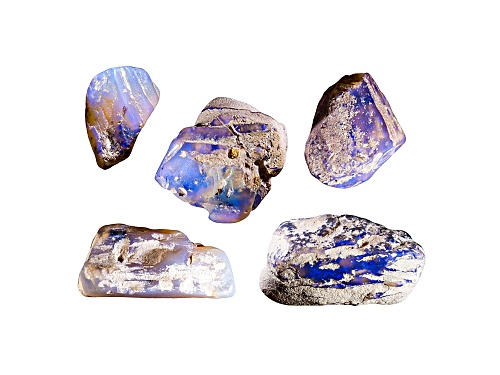 Gemstone Set Australian Lightning Ridge Opalised Plant Fossils Mm Varies Quantity Shapes & Size Vary