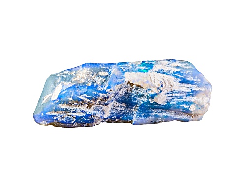Australian Lightning Ridge Opalised Plant Fossil Mm Varies  Gemstone Shapes And Sizes Will Vary