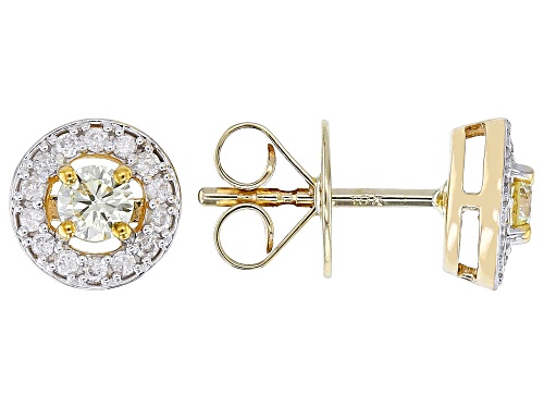0.45ctw Round Natural Yellow And White Diamond 10k Yellow Gold Halo Stud Earrings
