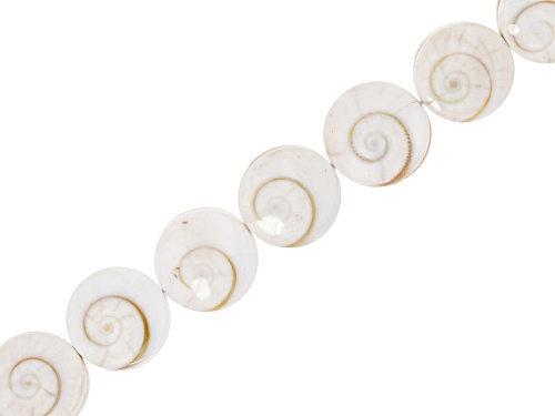 Operculum Shell Bead Strand Approximately 15.5-16" in Length