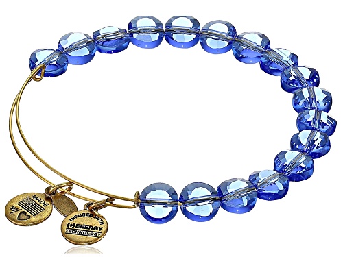 Photo of Alex and Ani Sapphire Color Luxe Yellow Tone Bracelet