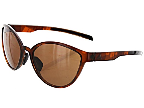 Adidas Tempest Brown Havana/Brown Sunglasses