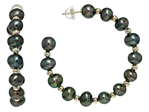 6-7mm Black Cultured Freshwater Pearl 14k Yellow Gold Hoop Earrings