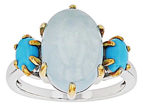 Pre-Owned 14x10mm Blue Dreamy Aquamarine With Turquoise Rhodium Over Sterling Silver Ring - Size 7