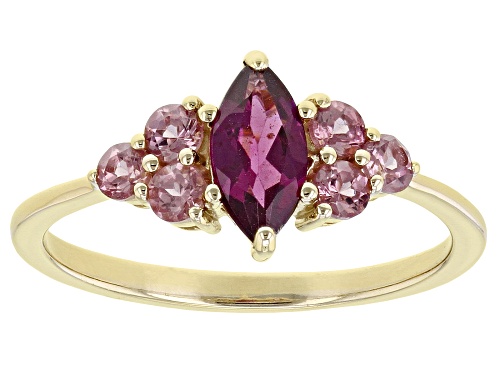 Photo of .51ct Raspberry Color Rhodolite With .46ctw Color Shift Garnet 18k Yellow Gold Over Silver Ring - Size 10