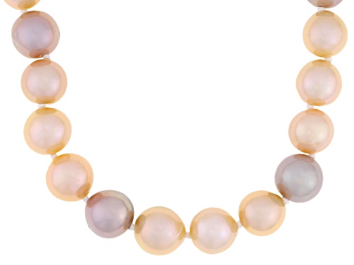 Genusis™ 9.5-10.5m Multi-Color Cultured Freshwater Pearl Rhodium Over Silver 20 Inch Necklace - Size 20