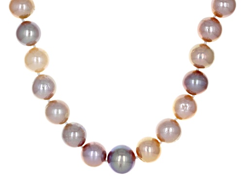 Genusis™ 9-12mm Multi-Color Cultured Freshwater Pearl Rhodium Over Sterling Silver 20 Inch Necklace - Size 20