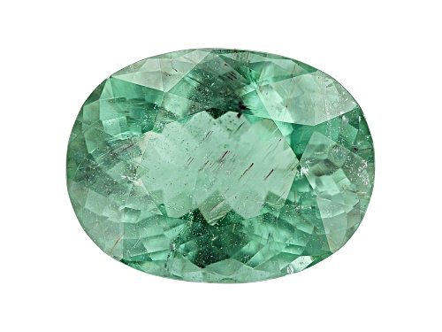 Green Tourmaline 19.2x14.5mm Oval 16.48ct