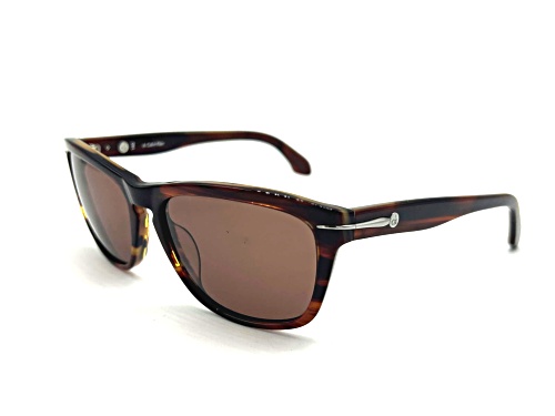 Calvin Klein Sangria/Brown Sunglasses