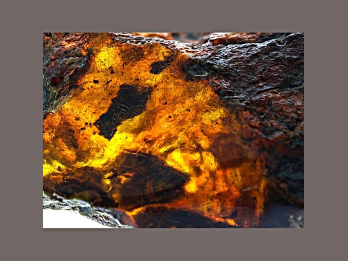 Dominican Blue Amber 8.0x7.2cm Rough