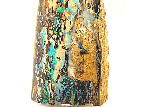 Austrailian Opalized Wood 7x3cm Specimen