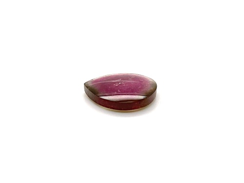 Watermelon Tourmaline 19.2x18.5mm Free-Form Slice 12.85ct