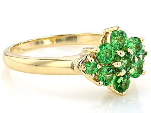 0.99ctw Round Tsavorite 10k Yellow Gold Ring - Size 10