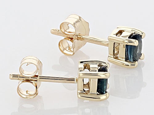 0.34ctw Blue Sapphire 10k Yellow Gold Children's Stud Earrings