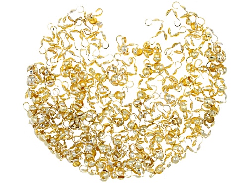Clam Shell Finding with Hook Kit in Silver Tone and Gold Tone Appx 500 Pieces Total