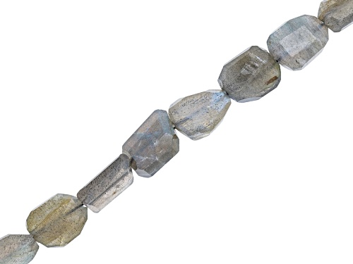 Freeform Gray Labradorite Rhodium Over Sterling Silver Necklace - Size 20