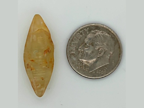 Sri Lankan Natural Yellow Sapphire Crystal 2.60x0.98cm 17.52ct