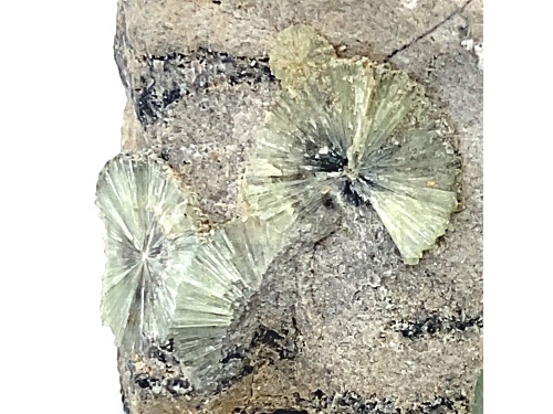 Arkansas Wavellite 5x4cm Specimen
