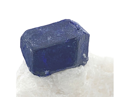 Afghan Lazurite 6.9x5.4cm Specimen