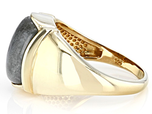 14x10mm Rectangular Cushion Labradorite 18k Yellow Gold Over Sterling Silver Men's Ring - Size 11
